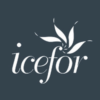 ICEFOR spa logo - Similar company to Icex