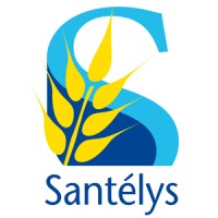 Santélys logo - Similar company to Stratélys