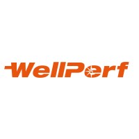 WellPerf logo - Similar company to Wellperform