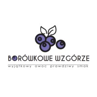 Borówkowe Wzgórze logo - Similar company to Otovino.Pl