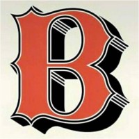 Barlap Footwear logo - Similar company to Dotninebd