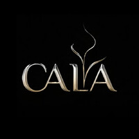 CALA Investments logo - Similar company to Cala Digital