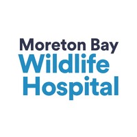 Moreton Bay Wildlife Hospital Foundation logo - Similar company to Crawl Consultancy