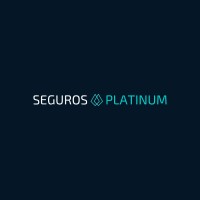 SEGUROS PLATINUM logo - Similar company to Pentecgy