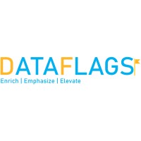 DATA FLAGS logo - Similar company to Data Analytix Llc
