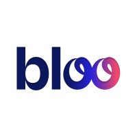 Bloo Money logo - Similar company to Wesit
