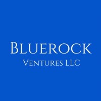 BlueRock Ventures logo - Similar company to Pest0