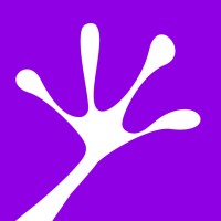 FrogPlum Solutions Inc. logo - Similar company to Mcr Tech