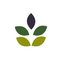 Myadvocate | Online Estate Planning