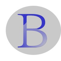 Bersik Group B.V.