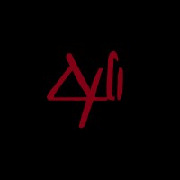 Aydilooks logo - Similar company to Deva Consultancy Services