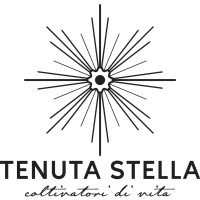 Tenuta Stella Collio logo - Similar company to La Ponca
