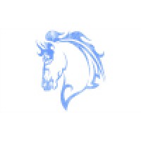 Stallion Studios