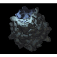 MedChem.fi logo - Similar company to Aurlide Ltd.