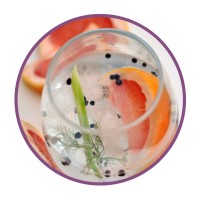Cocktail Fusion LLC logo - Similar company to Do The Don'T | Cocktail Garnishes