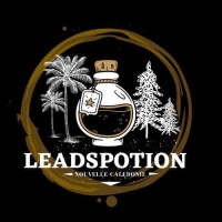 Leadspotion NC logo - Similar company to Yugo