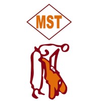 Muhammad Shafi Tanneries Private Limited. logo - Similar company to Shafi Group