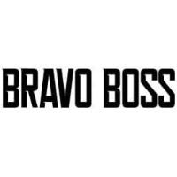 Bravo Boss logo - Similar company to Astro System