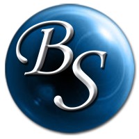 Best Solutions S.r.l. logo - Similar company to Celeritech Italia