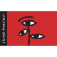 Bic Multimedia
