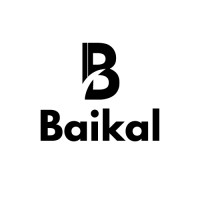 Baikal logo - Similar company to Instituto Baikal