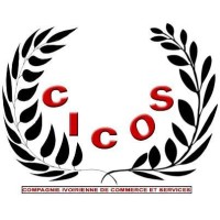 CICOS CI logo - Similar company to Silicon Tech