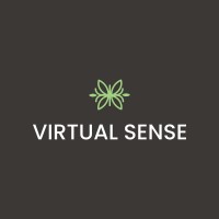 Virtual Sense Admin logo - Similar company to Virtual Assistance Services Bd