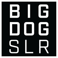 Big Dog Solar Colorado logo - Similar company to Short Block Technologies, Inc.