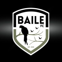 Baile Football Club logo - Similar company to Fiu Global
