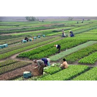 AGROLINK GHANA logo - Similar company to Agroguardian