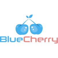 Bluecherry Network logo - Similar company to Danatech