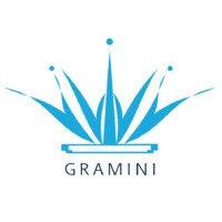 Gramini Media And Information Services Private Limited