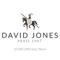 DAVID JONES PARIS - ITALIA logo - Similar company to Lioiren