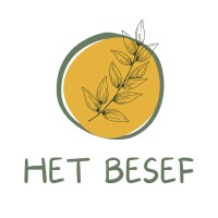 Het Besef