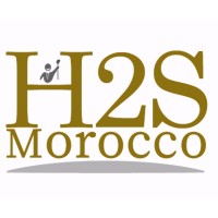 H2S MOROCCO logo - Similar company to H2S Knockout