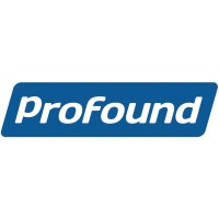 The Profound Co. logo - Similar company to Leading Life