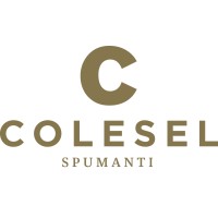 COLESEL SPUMANTI SRL logo - Similar company to Foss Marai Spa