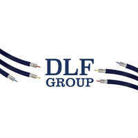 DLF Utilities Ltd logo - Similar company to Dynamic Network Systems Ltd