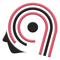 Anstrex logo - Similar company to Bigspy