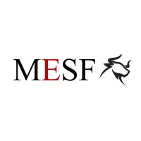 McGill Engineering Students in Finance logo - Similar company to Mcgill Athletes In Business (Abs)
