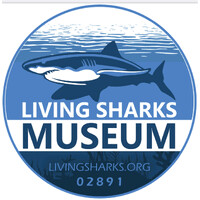 Living Sharks Museum & Research Center
