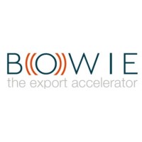 BW Market Intelligence logo - Similar company to European Indian Business Centre