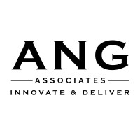 ANG Associates logo - Similar company to Peerspoint Sa