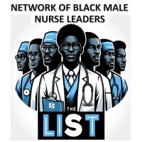 Network of Black Male Nurse Leaders logo - Similar company to Capitol City Black Nurses Association