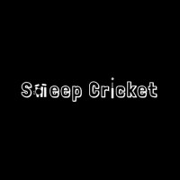 Sweep Cricket logo - Similar company to Dev'S Cricket Academy