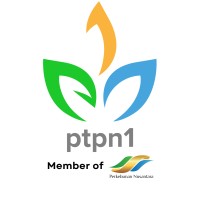 PT Perkebunan Nusantara I logo - Similar company to Pt. Sinergi Gula Nusantara (Sgn)