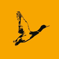 Sportingclub logo - Similar company to Dake Precision Technology (Shenzhen) Co., Ltd