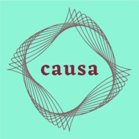 Causa logo - Similar company to Indeflagration