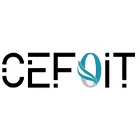 CefoIT logo - Similar company to Odit Gouvernance