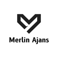 Merlin Ajans logo - Similar company to Pro Web Design